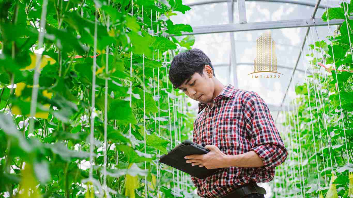 اصول کشاورزی شهری