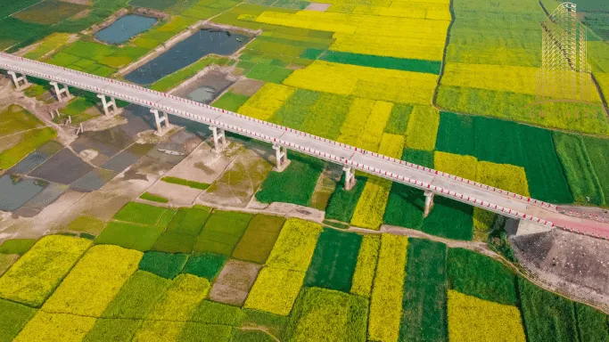 همکاری تیمی میان کارگران در ساخت پل‌